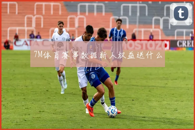 7M体育赛事数据新人权益送什么