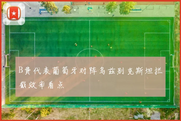 B费代表葡萄牙对阵乌兹别克斯坦拦截效率看点