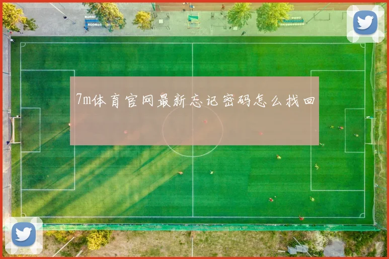 7m体育官网最新忘记密码怎么找回